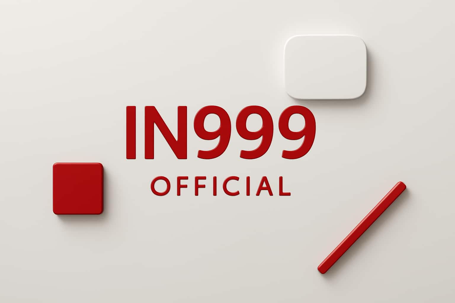 IN999 Interface