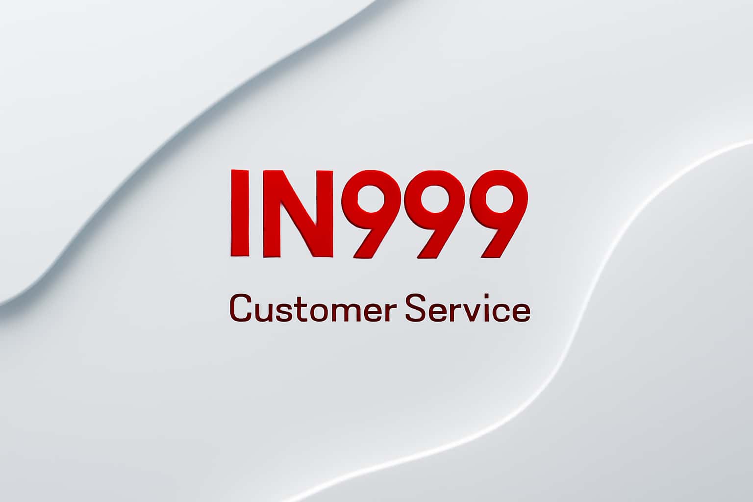 IN999 Customer Service Interface